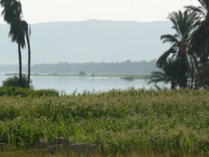 een fris landschap