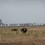 National Park nairobi