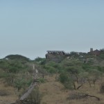 Lodge_at_Serengeti1