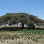 Picknick_near_entrance_Serengeti