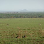 Serengeti overview