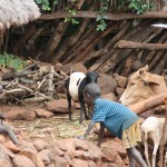 Konso house