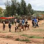 at the market 1