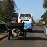 escort out of town