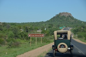 kruger park