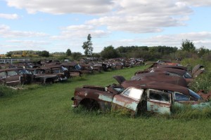 car cemetery 1