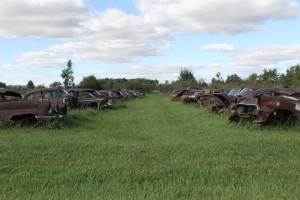 car cemetery 2