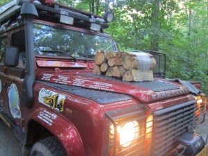 new fire wood
