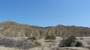 desert landscape