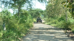 driving away from the camping place