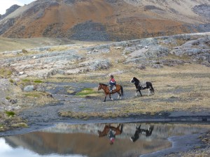 man on horse