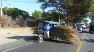 roadsweeping