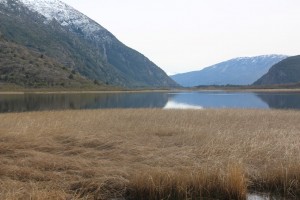 view at the lake