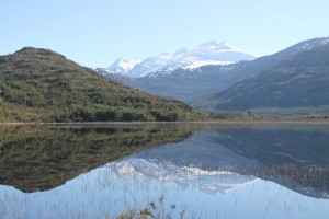 mirror in the lake