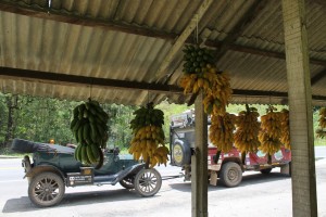 Stopping for sugar cane juice