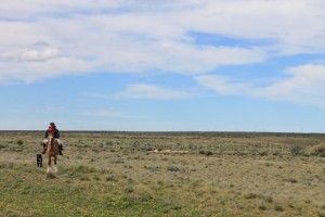 A gaucho along the way