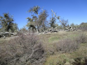 Nature Parc