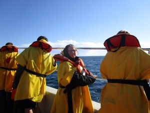 On the boat to the whales