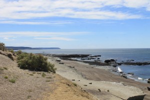 Road along the coast1