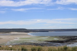 Road along the coast3