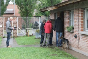 Visiting a house